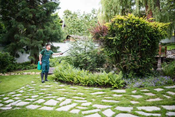 Best Best Pest Control Companies  in Memphis, TN