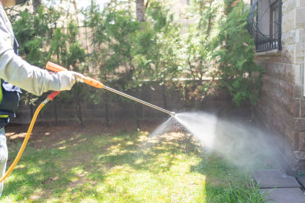 Wasp Removal Services in Memphis, TN
