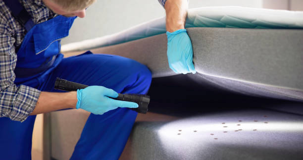Best Pest Control Near Me  in Memphis, TN