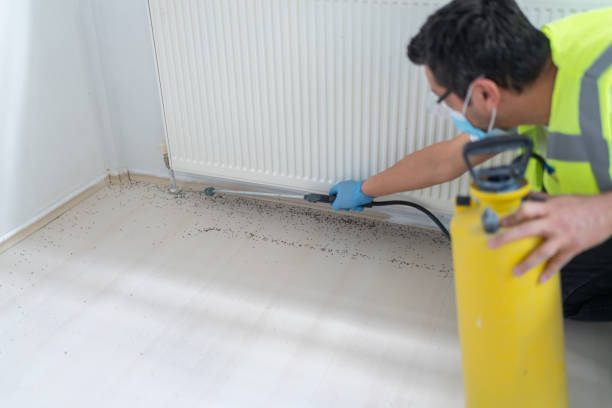 Best Termite Control Services  in Memphis, TN